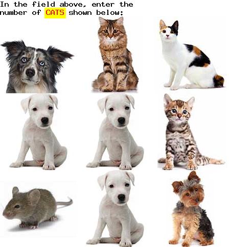 captcha to verify human, not robot